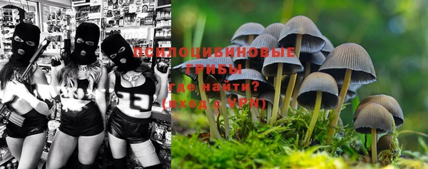 a pvp Киренск
