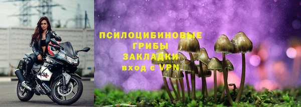 a pvp Киренск